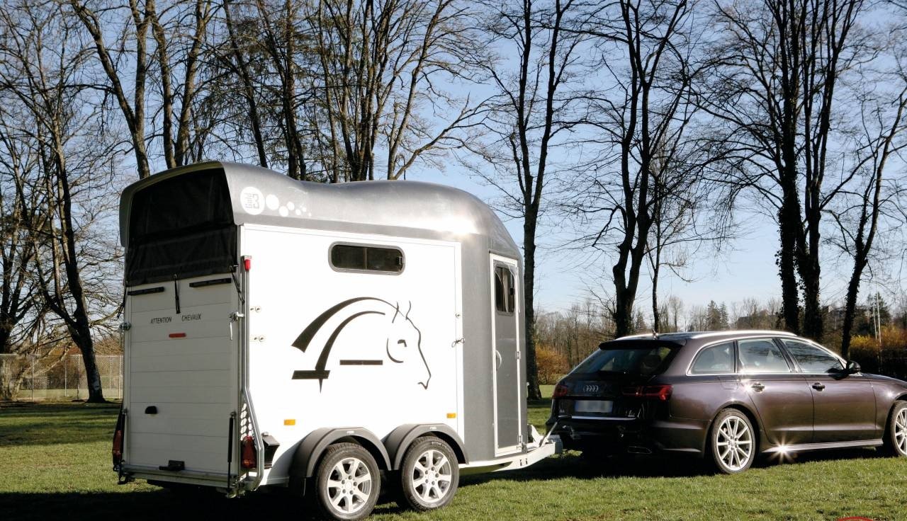 Van Cheval Liberté Gold 3