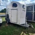 CHEVAL LIBERTÉ - GOLD - 2 PLACES - 2018